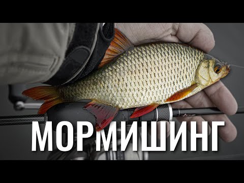 Видео: Мормишинг на плотву