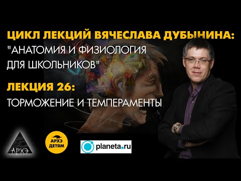 Видео: Вячеслав Дубынин: "Торможение и темпераменты" (Лекция 26)