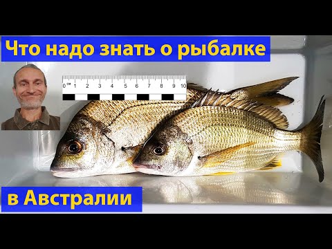 Видео: Рыбалка. Австралия: лицензия, снасти, опасности и т.д. (видео 043)