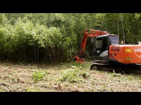 Видео: Дисковый мульчер UM-Forest D-100H на Hitachi 130
