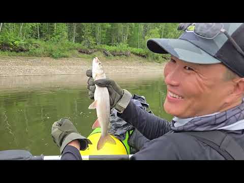 Видео: ПО ДИКИМ МЕСТАМ ЯКУТИИ 3 СЕРИЯ РЕКА ЮДОМА