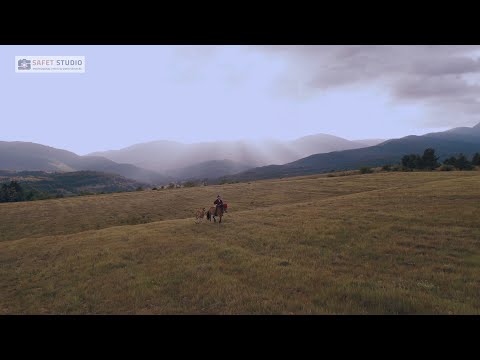 Видео: Атанас и Красимир Драгунини -  Тайно да те имам