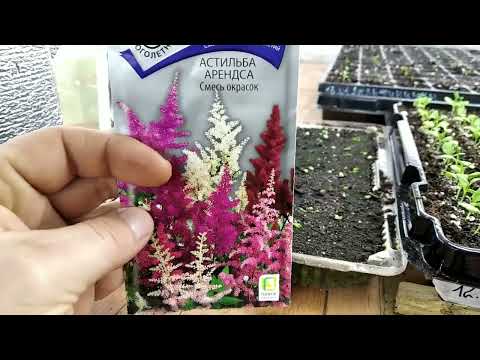 Видео: ВОТ! Что у нас растёт? ОБЗОР РАССАДЫ ЦВЕТОВ на 25 января!