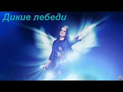 Видео: #СофияРотару-Дикие лебеди