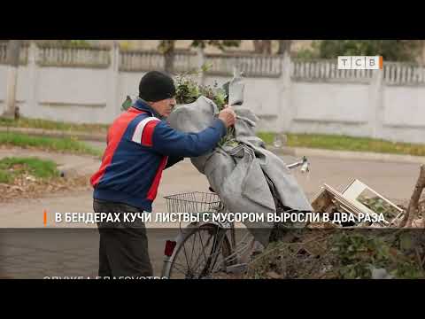 Видео: В Бендерах кучи листвы с мусором выросли в два раза