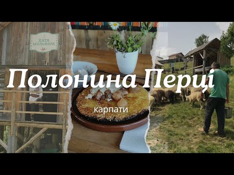 Видео: Полонина Перці. Етно-парк. Карпати. 22.06.24