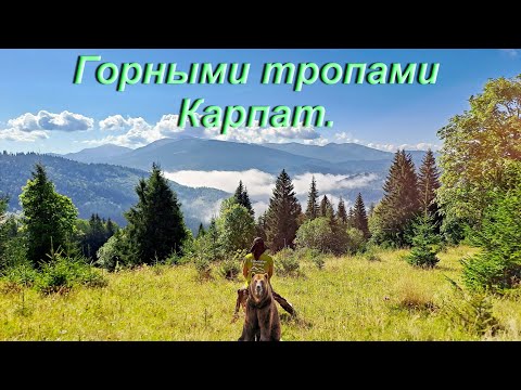 Видео: Горными тропами Карпат.  Яремче - Воловец.