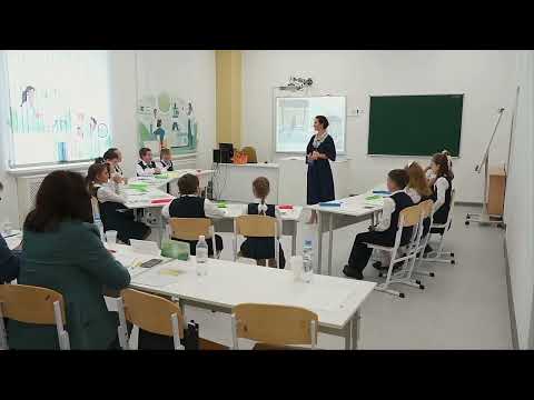 Видео: Урок русского языка, Мальчикова Е. А., 2021