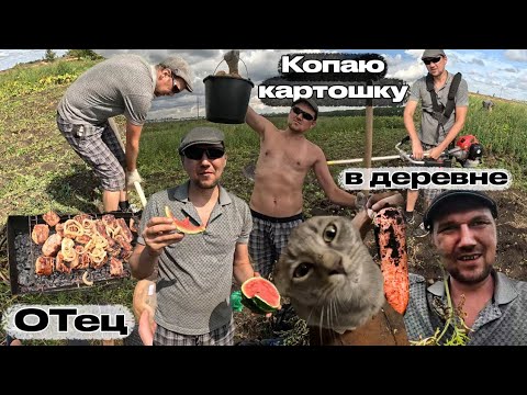 Видео: ОТец Опять Копает картошку в деревне 24.08.25г
