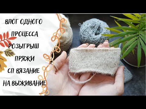 Видео: ВЯЗАЛЬНЫЙ ВЛОГ ОДНОГО ПРОЦЕССА | СП "Вязание на выживание 2" | Розыгрыш пряжи