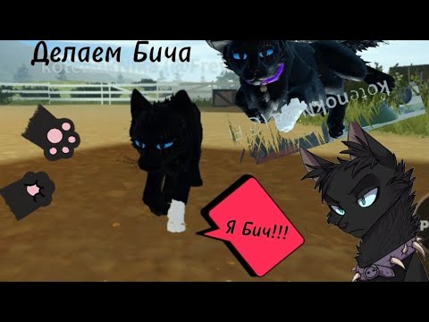 Видео: Roblox. Коты воители. Делаем Бича по просьбе!!! Котёнок Ника играет.