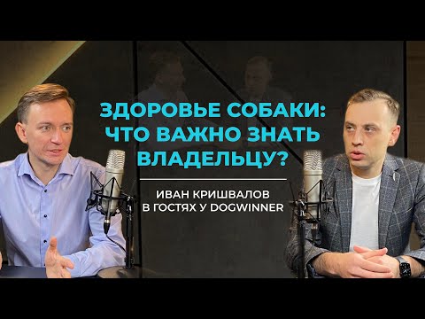 Видео: Здоровье собаки. Что важно знать владельцу? Иван Кришвалов в гостях у DogWinner