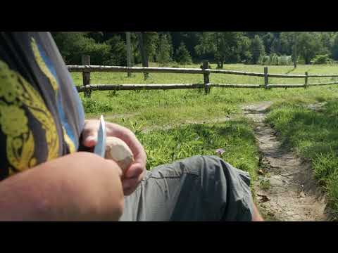 Видео: Ложка Карпатська