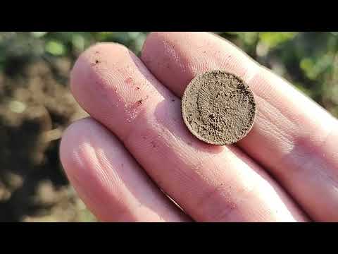 Видео: Поиск возле старой водяной мельницы search for the old water mill#metaldetecting #😏