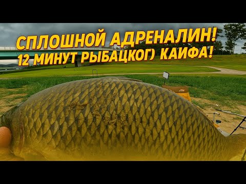 Видео: 🔥 Вот ради чего мы ездим на рыбалку