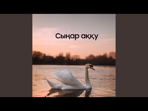 Видео: Сыңар аққу