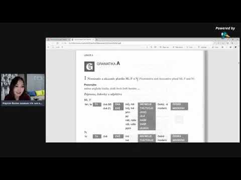 Видео: Чех хэлний нэрлэх болон заахын тийн ялгалын олон тооны дүрмийн хичээл №3