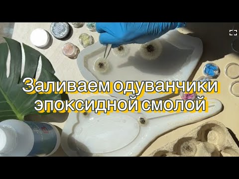 Видео: Одуванчики и сухоцветы в смоле, пошаговое видео