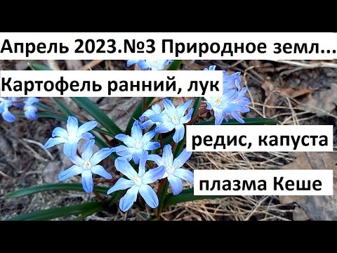 Видео: Апрель 2023. №3 Природное земледелие.