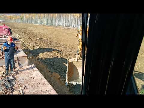 Видео: 21 октября 2025 г.