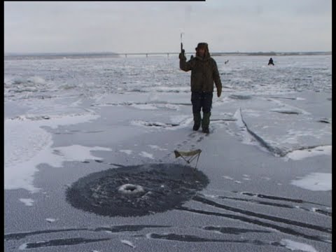 Видео: зимняя ловля судака на мормышку с подсадкой малька