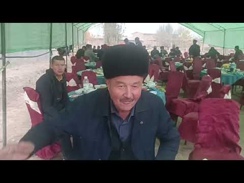 Видео: Олим бохши Шўрчида Гулбой фермер тўйида Беш томда.