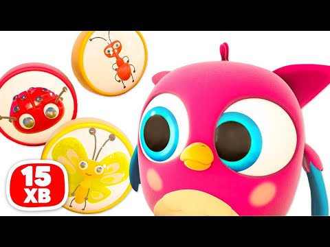 Видео: Совеня Хоп Хоп грає та вивчає комах! Мультфільм для малят 🦉🐜