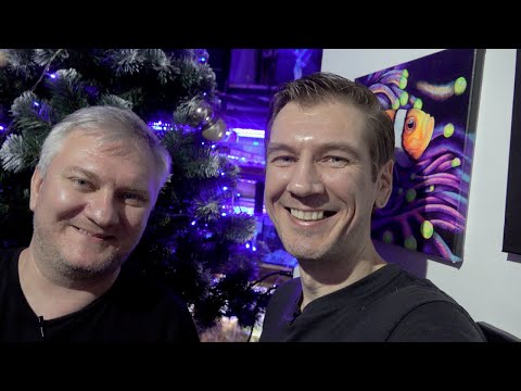Видео: Калипсо наличие декабрь 2023