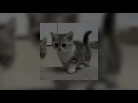 Видео: ALEKS ATAMAN, FINIK - Диалоги тет-a-тет (slowed song)