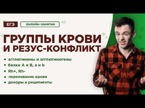 Видео: Группы крови и резус-конфликт | ЕГЭ Биология | Даниил Дарвин