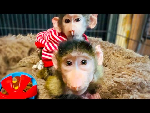 Видео: Я РУГАЮСЬ на Маню, Люсю и Степашку за их встречу с Владом, вели себя КАК ДИКАРИ)))