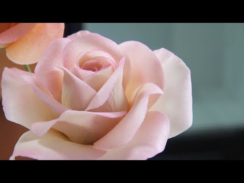 Видео: Роза из мастики/Sugar Rose Flower Tutorial/ ارتفع معجون السكر Tutorial de flor de rosa de azúcar