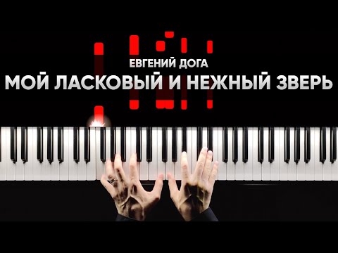 Видео: ЕВГЕНИЙ ДОГА - МОЙ ЛАСКОВЫЙ И НЕЖНЫЙ ЗВЕРЬ - На Пианино