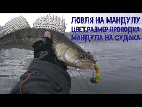 Видео: Мандула на судака.Цвет,размер,проводка.Ловля на мандулу.