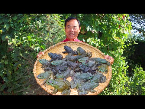 Видео: Экзотическая лягушка-бык, запечённая с огромным перцем чили! Уникальный рецепт лягушки-быка!