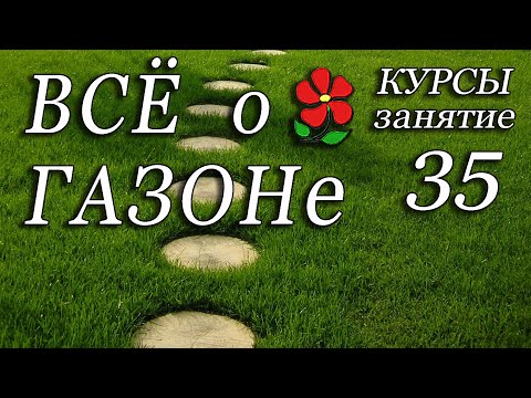 Видео: Всё о газоне в одном видео. Курсы. Урок 35.