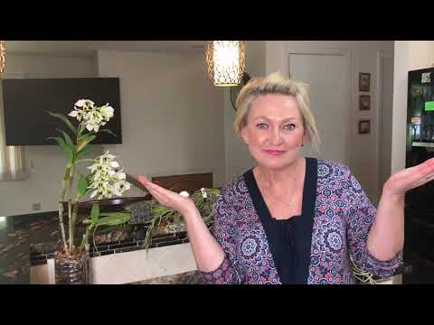 Видео: Ура! Посылка с орхидеями! Ванды, ринхостилисы и их гибриды! Орхидеи из Тайланда . Дендробиум Рэмбо.