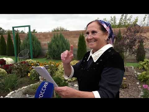 Видео: Вай боахам 27,10,25 автор Холохоева Пятимат