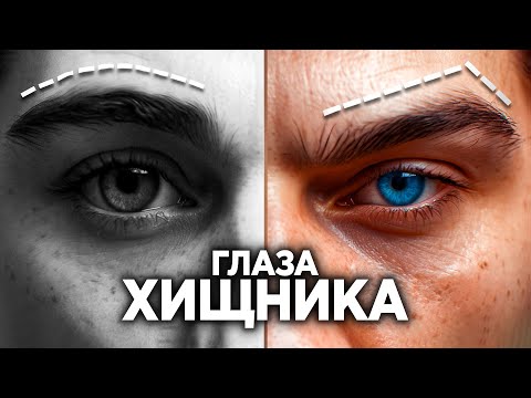 Видео: HUNTER EYES - ПОЛНЫЙ ГАЙД