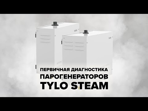 Видео: Первичная диагностика парогенераторов Tylo Steam