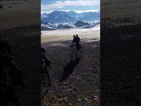 Видео: 1 февраля 2025 г.