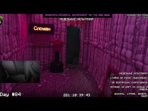 Видео: закрыт в комнате день 81