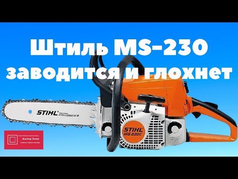 Видео: Штиль 230 заводится и глохнет при нажатии на газ#ВикторПолев