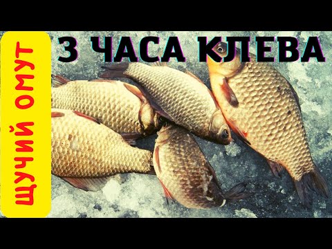 Видео: КАРАСЬ ЗИМОЙ РЫБАЛКА ОГОНЬ