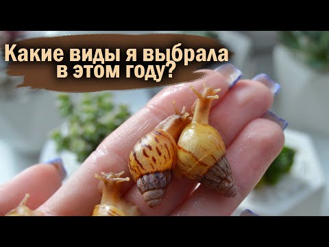 Видео: РАСПАКОВКА ПОСЫЛОК С УЛИТКАМИ