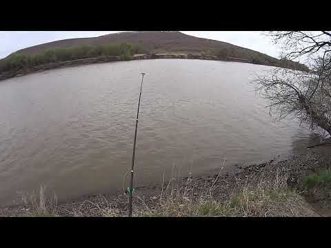 Видео: БОРИСОВКА,СУЙФУН.