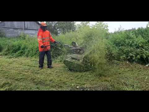 Видео: Покос травы мульчером, как избавиться от травы и бурьяна? Расчистка участка от густой растительности