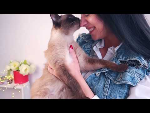 Видео: DIY СЕКОНД ХЕНДА! ПЕРЕШИВАЕМ ДЖИНСОВКУ В ЖИЛЕТКУ Делаем модно, стильно