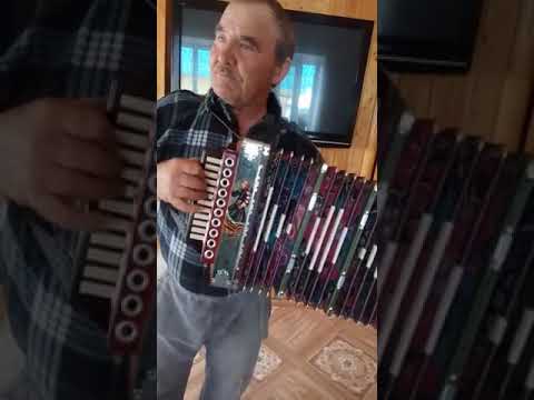 Видео: Прекрасные тальянки мастера Мухоярова.