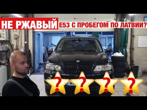 Видео: Есть ли ЖИВЫЕ Е53 В 2020 году?